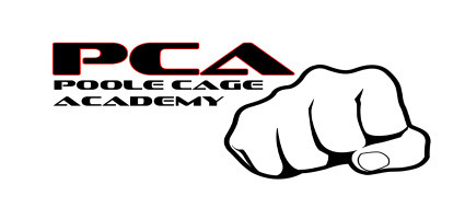 PCA_web_logo.jpg